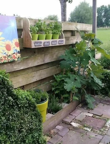 Idyllic To Ijsselmeer * Wervershoof